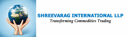 Shreevarag International LLP